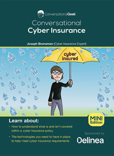 delinea image tool cyber insurance checklist thumbnail